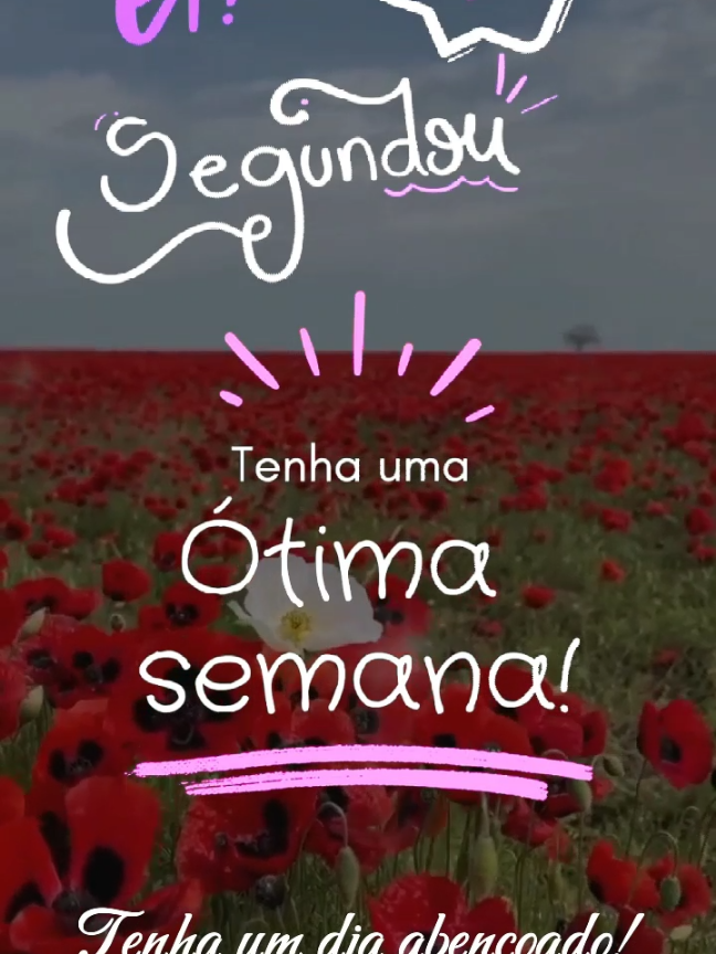 @J&uacute;nior Jardim