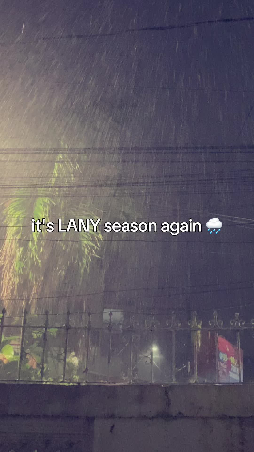 @lucy ❀