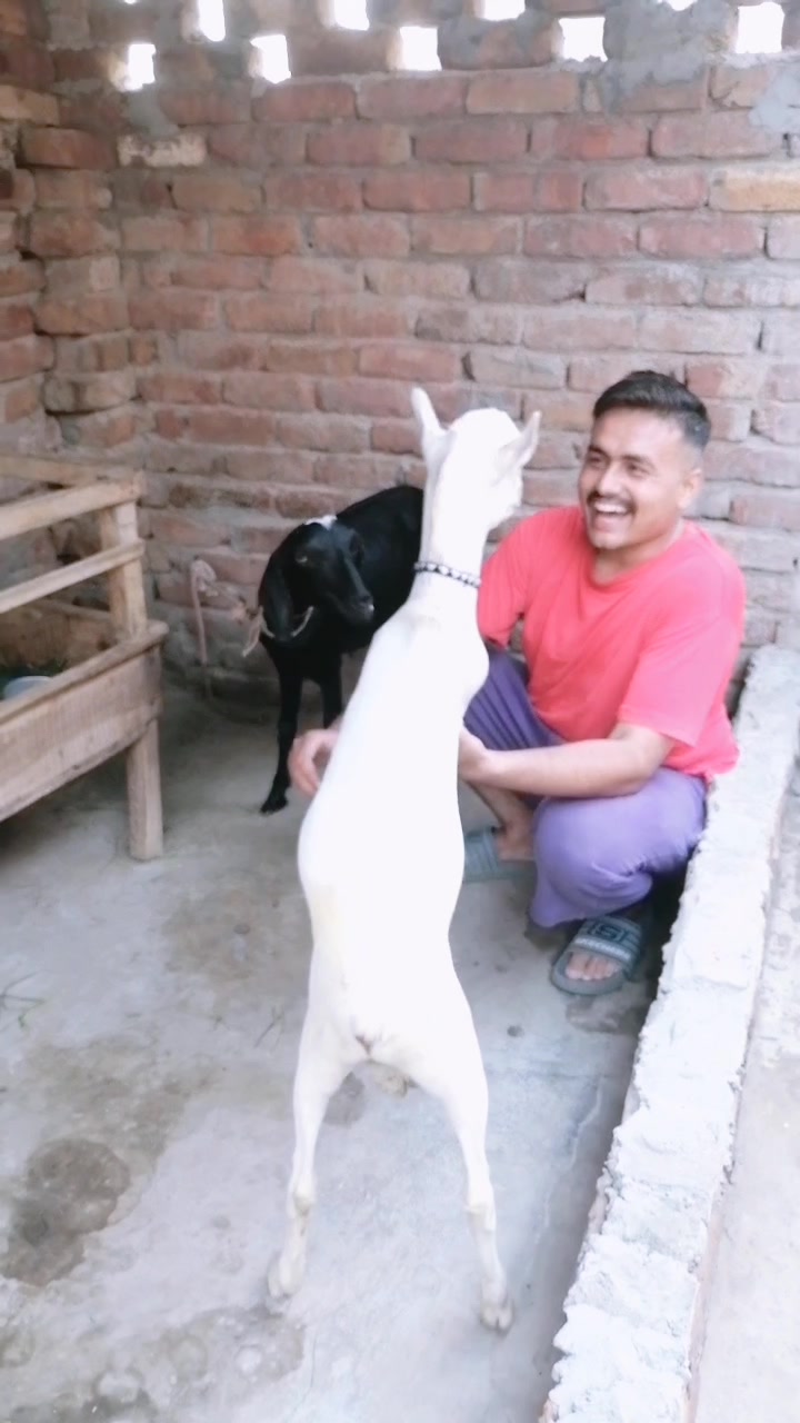 @⚡GUJJAR ⚡