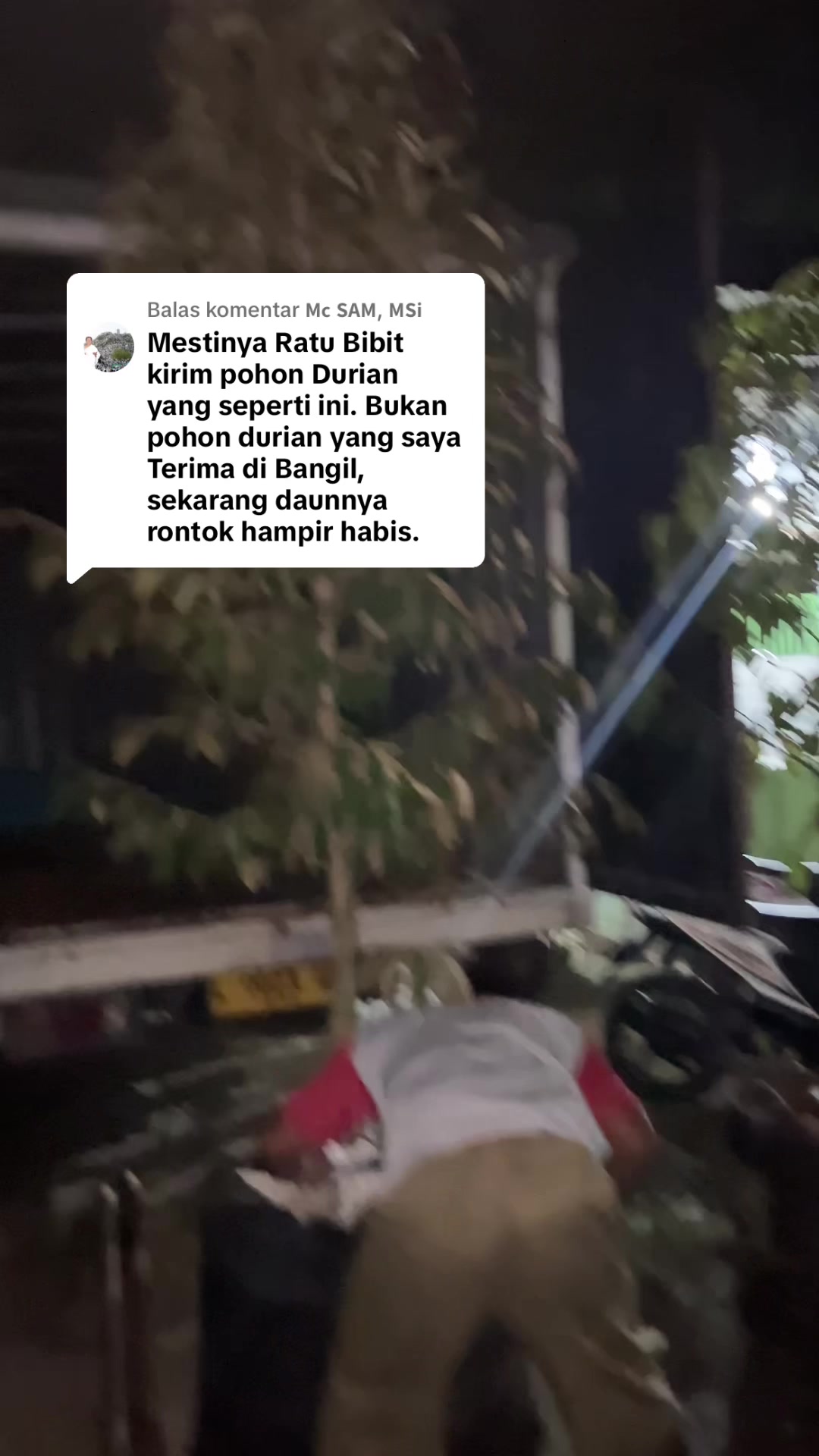 @RATU BIBIT