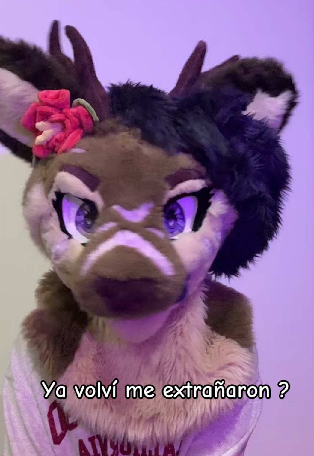 @Riley :3