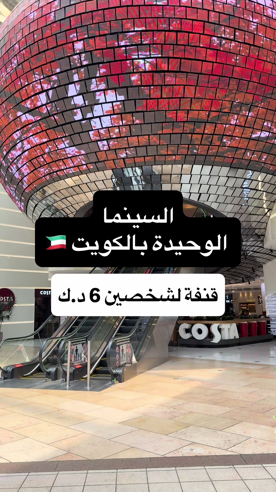 @staykuwait