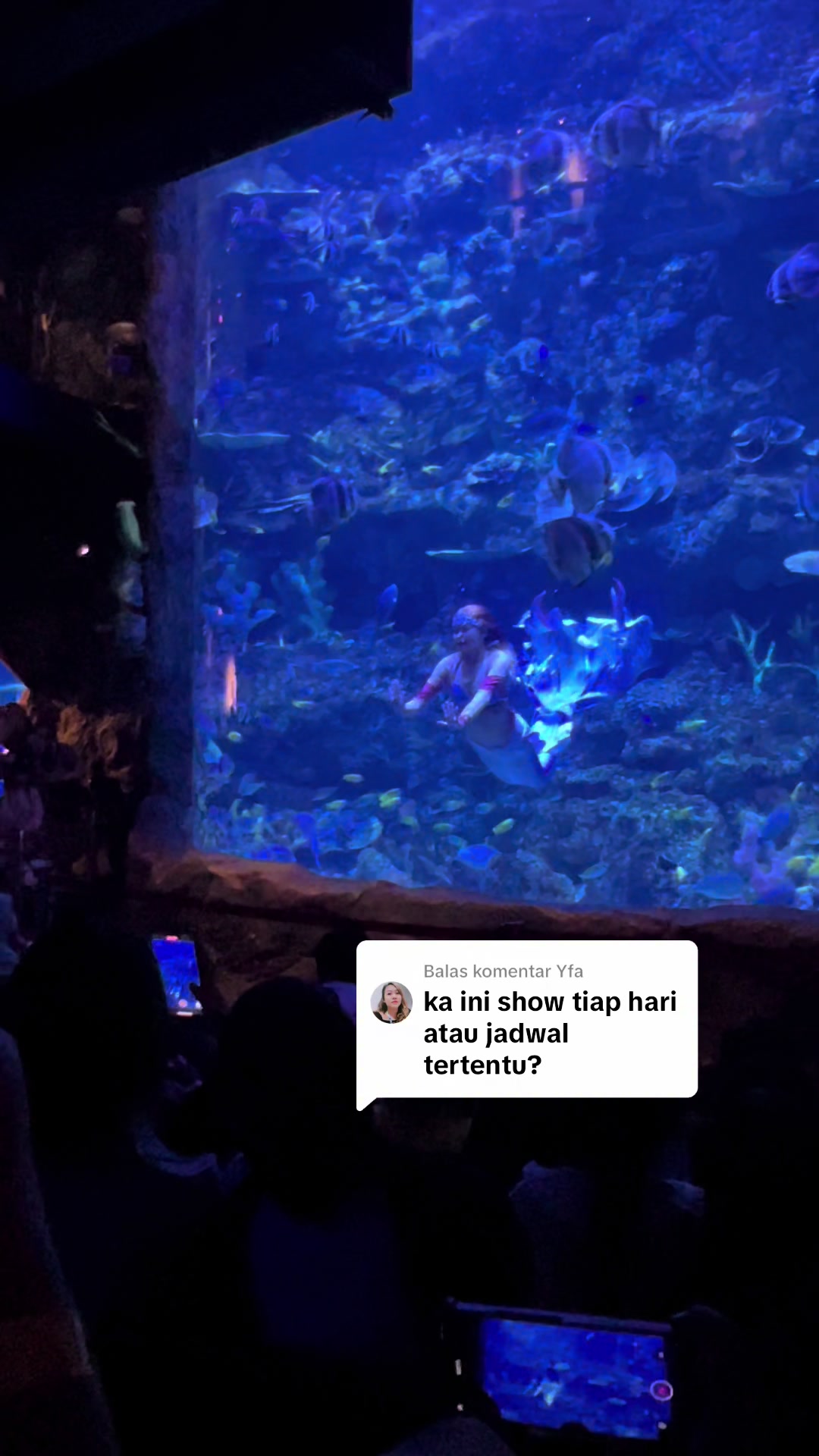 @Mermaid Cryztal
