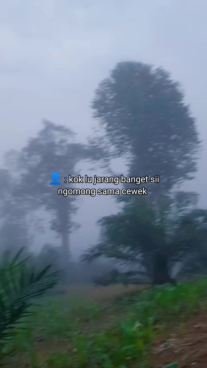 @ArdisTista