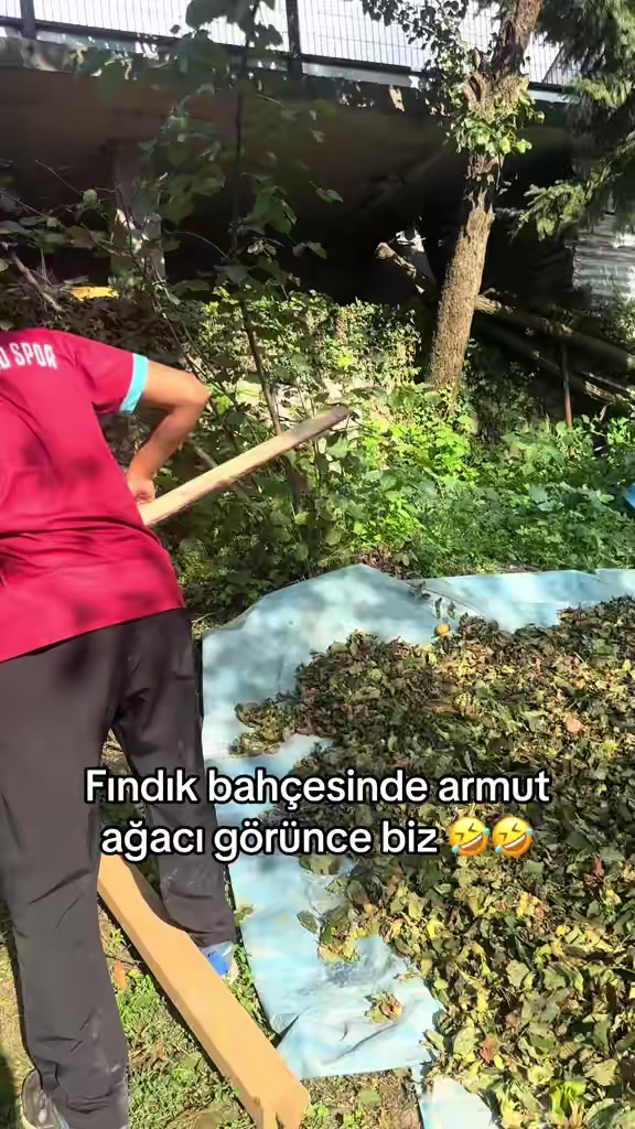 @OSMAN HACIOSMANOĞLU