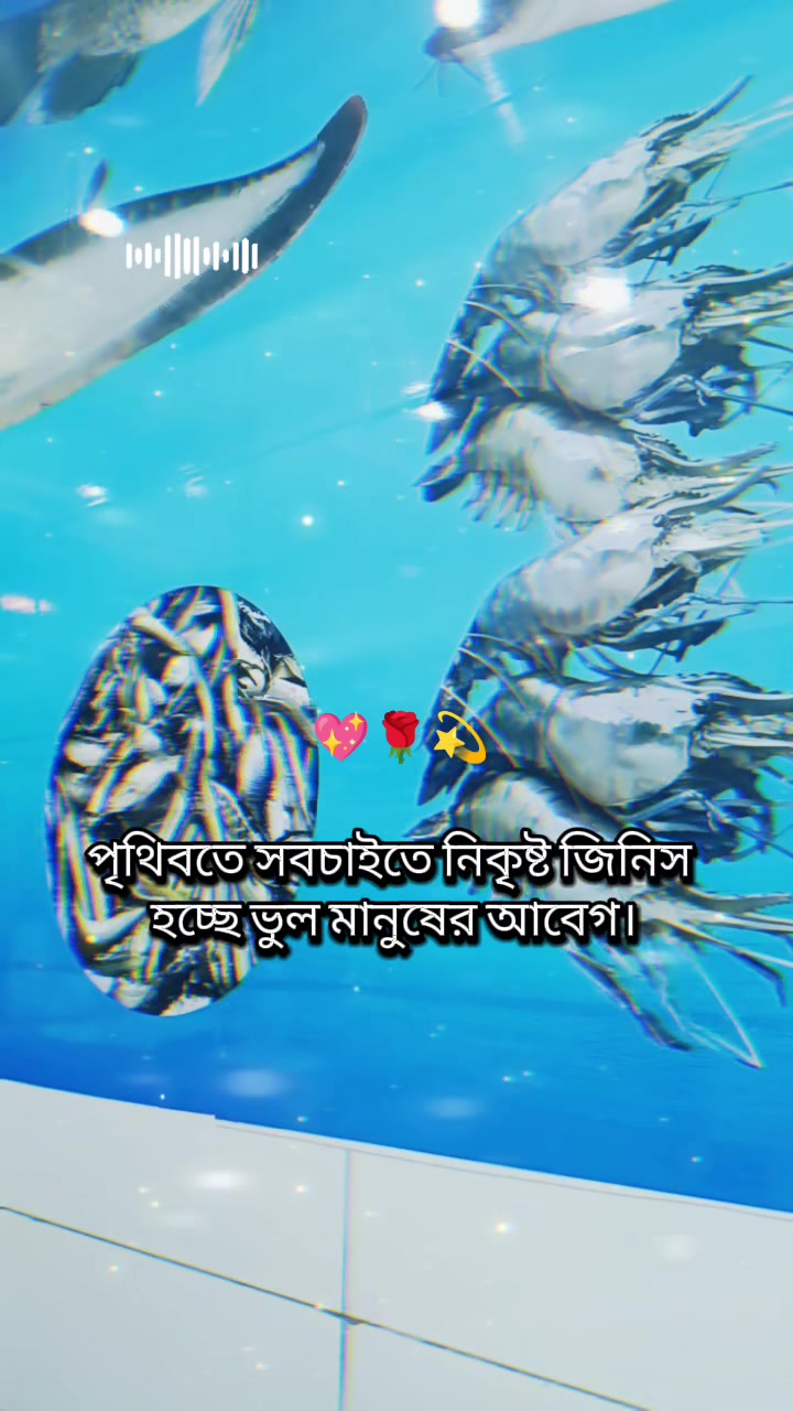 @মো: জুয়েল