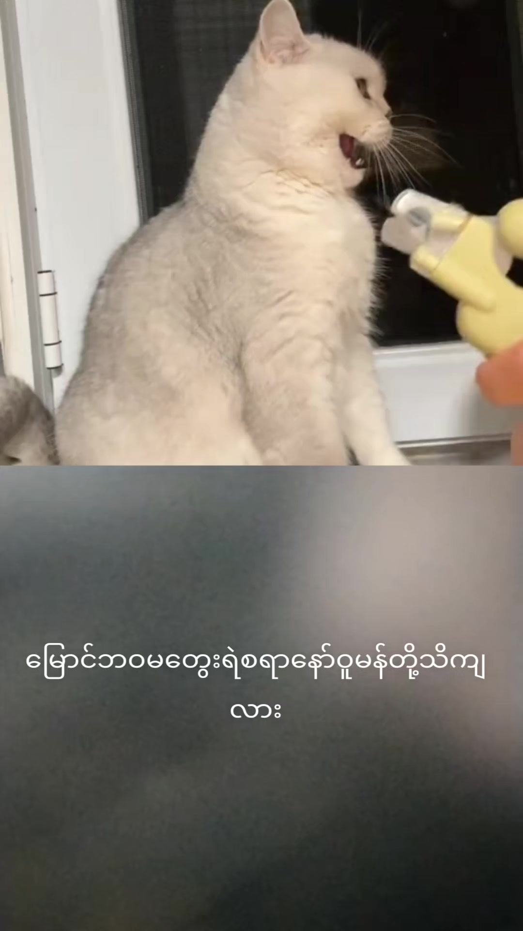 @myohlaingwin