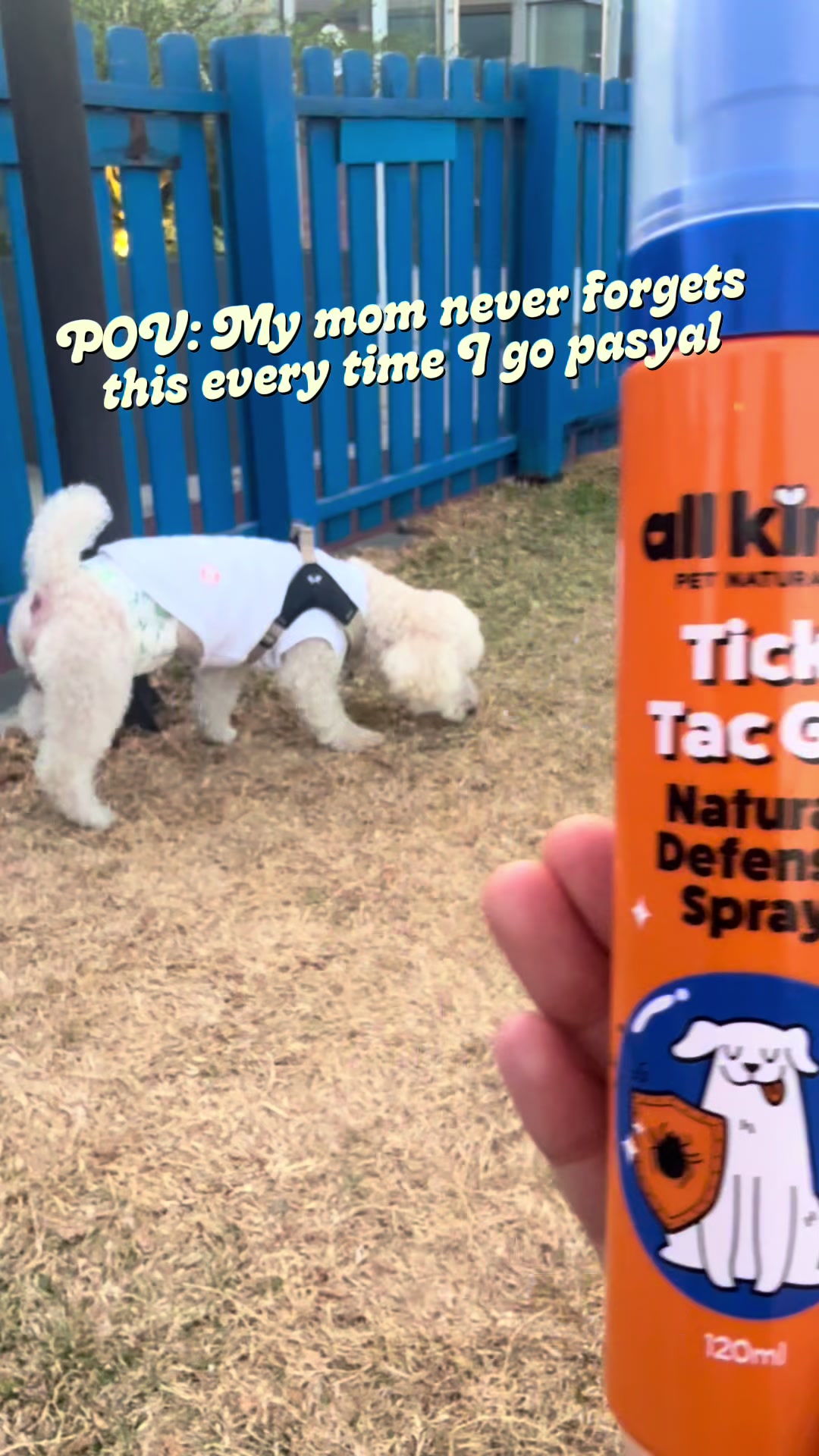 @Coco the poodle