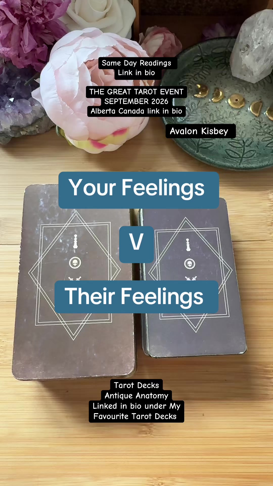 @Avalon Kisbey