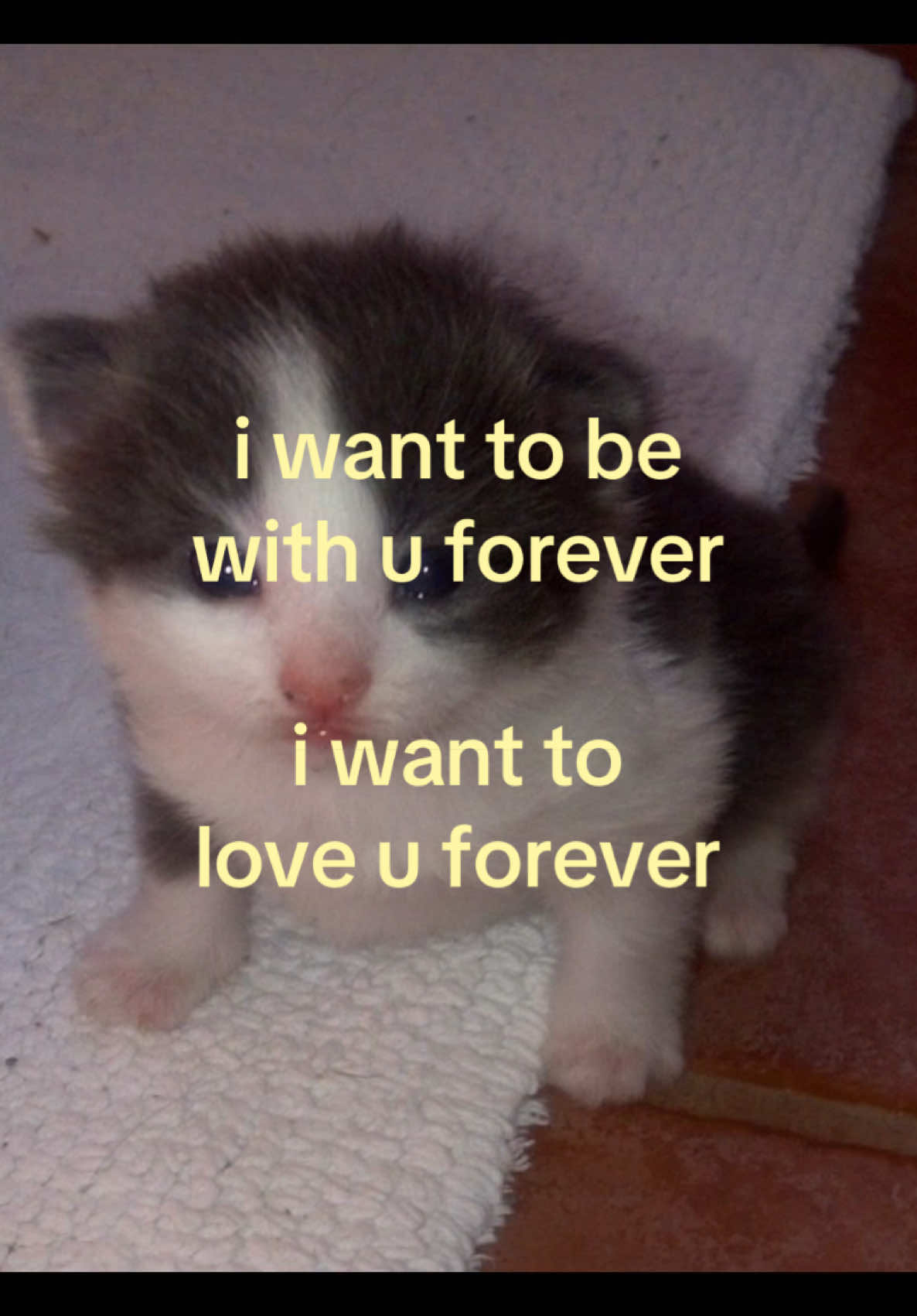 @iseenthisinmydream