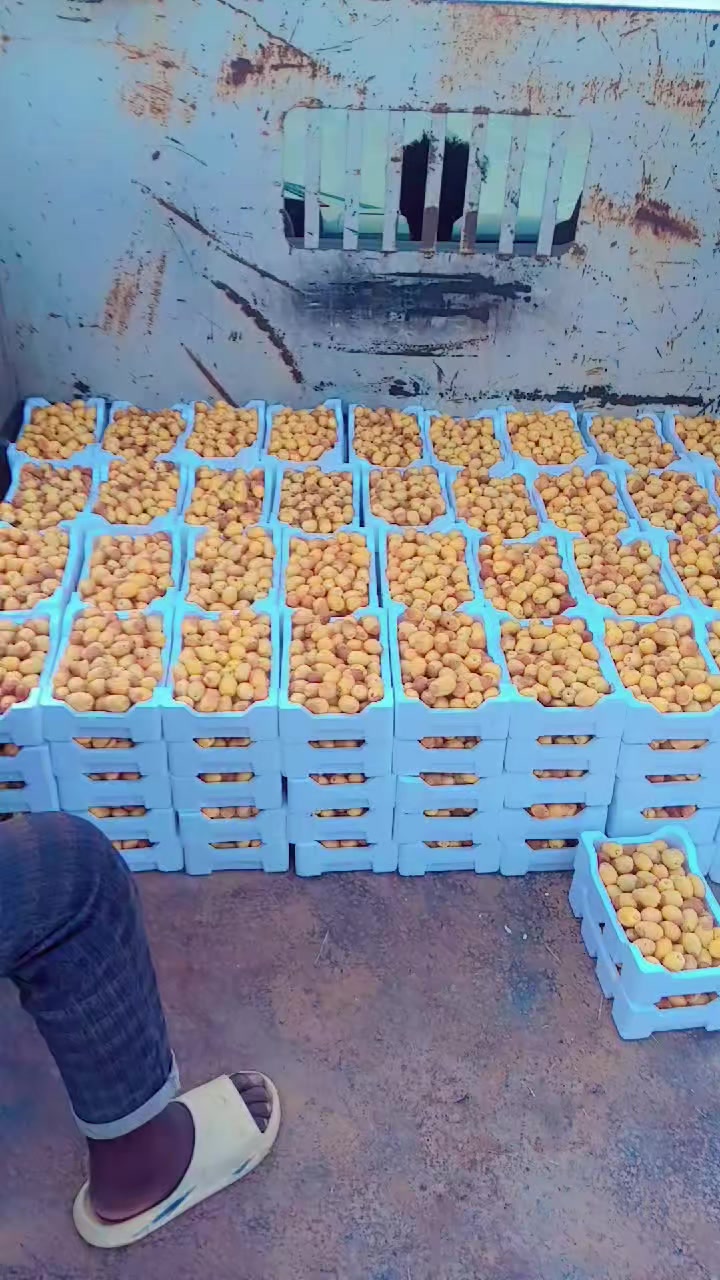 @አህመድ