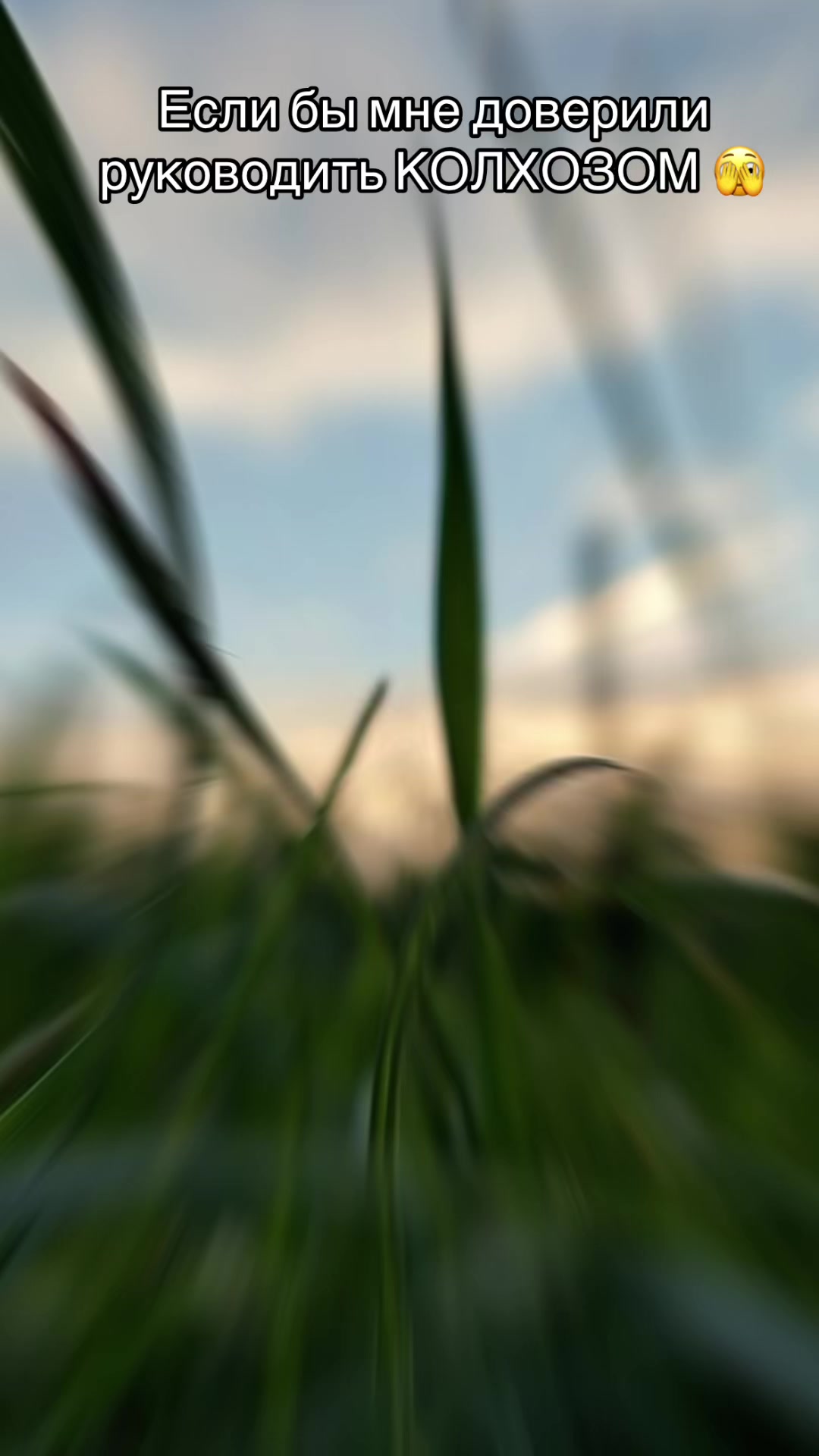 @AgroWoman 👩🏻🌾💚