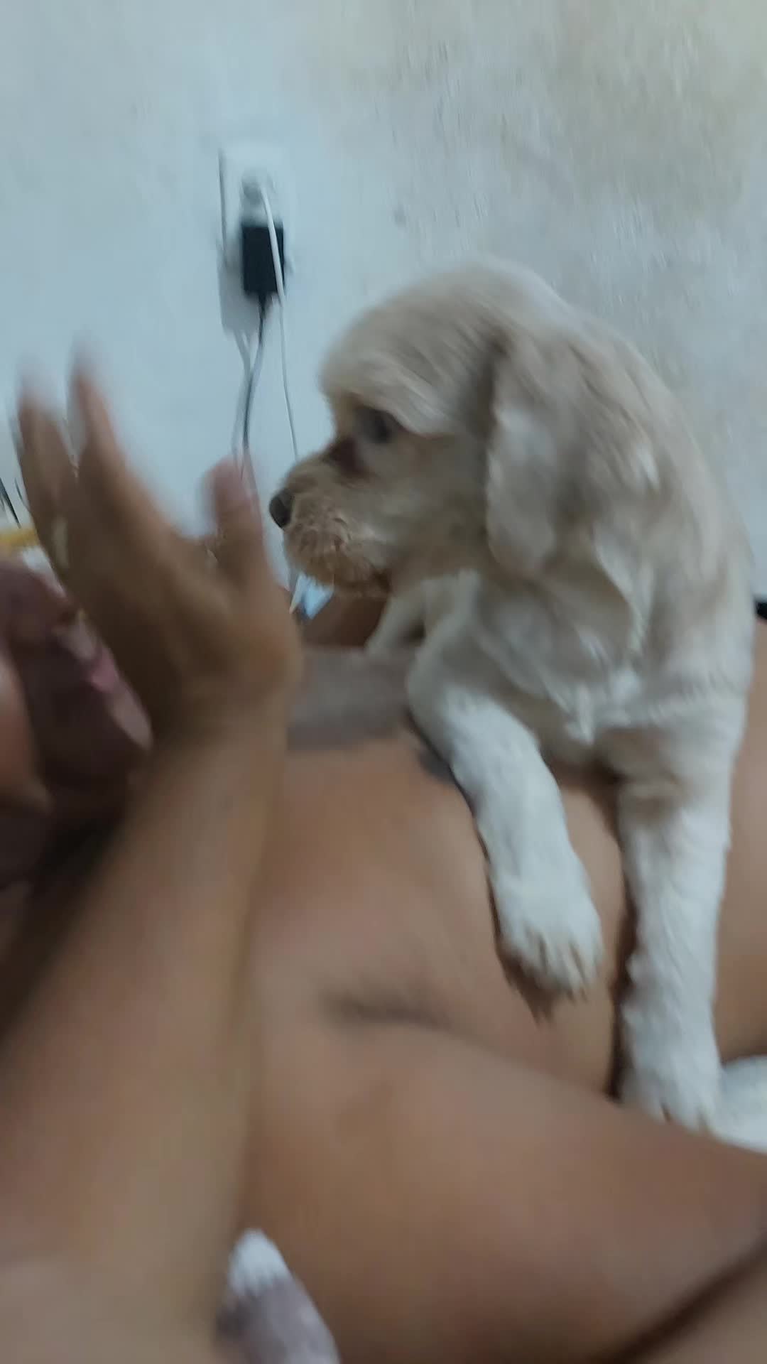 @MarciaValois123