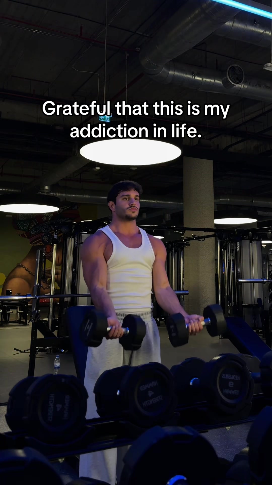 @Bardiafit