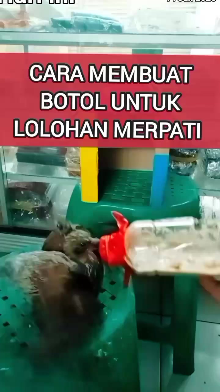 @Jose & putra si burung nakal
