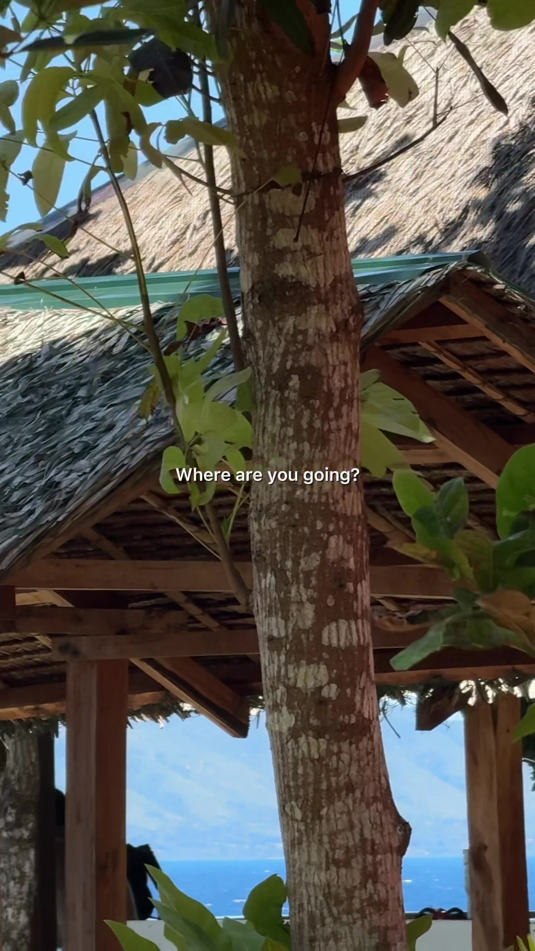 @—๐ต๐ถ๐๐ท๐๐พ ๐