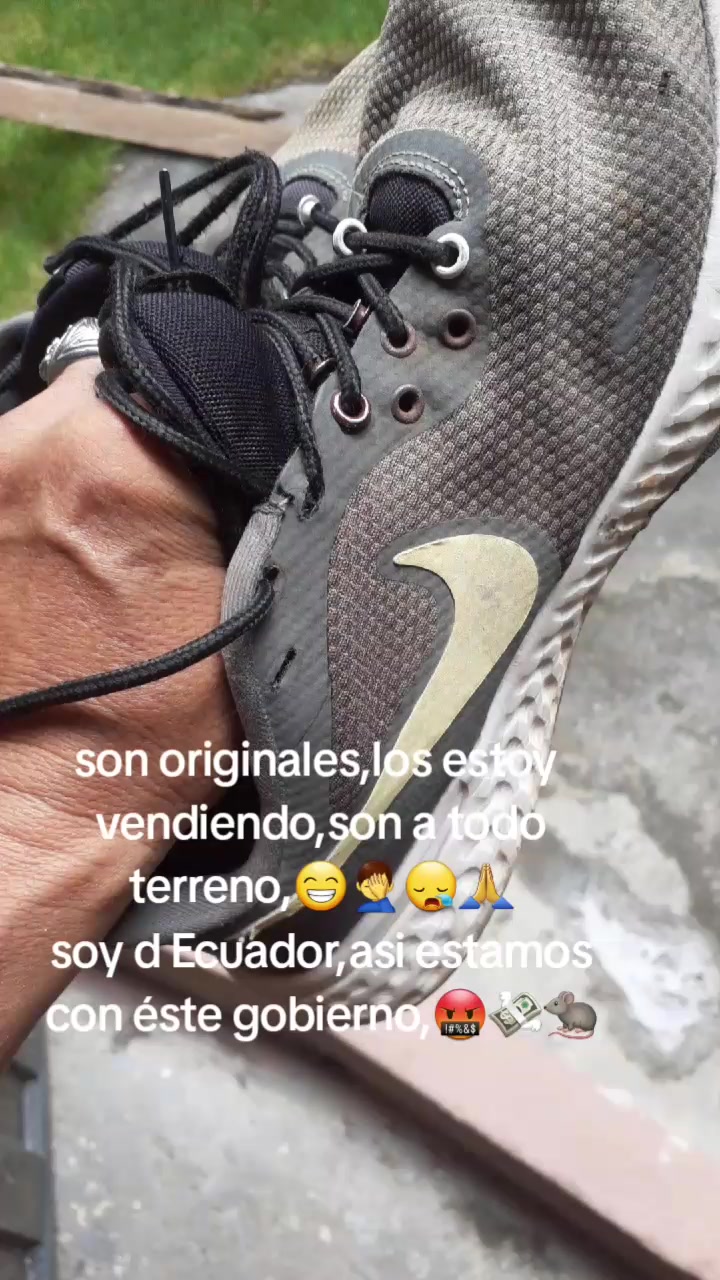 @Pedro Miguel