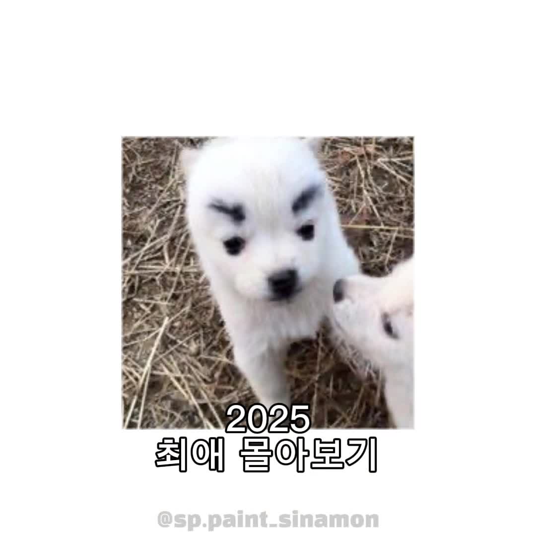 @어쩌시게ww