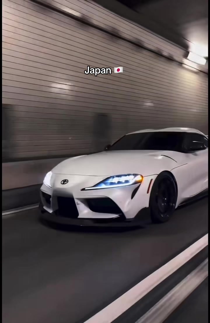@D.O.D.G.E