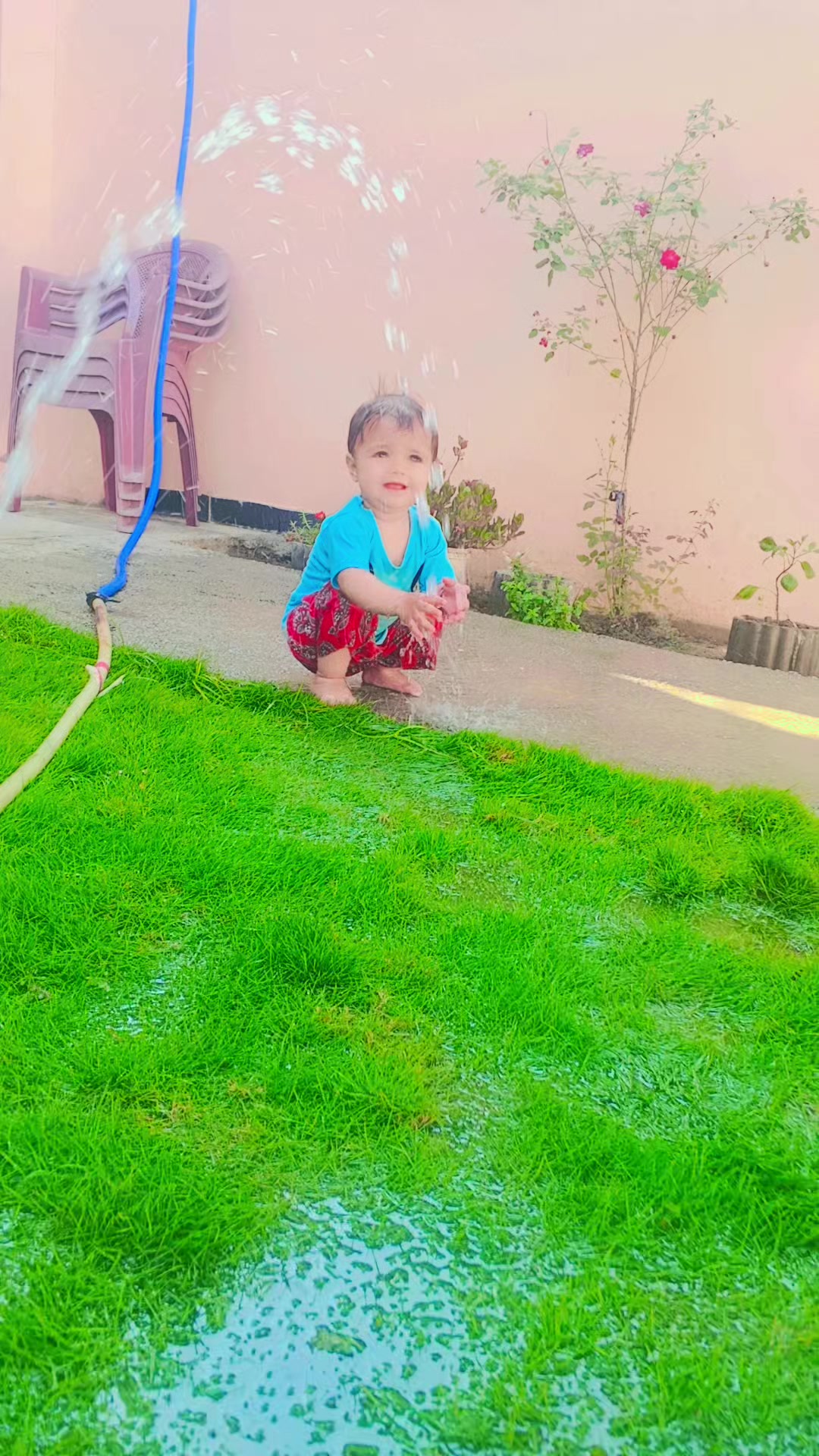 @Shah Zeb