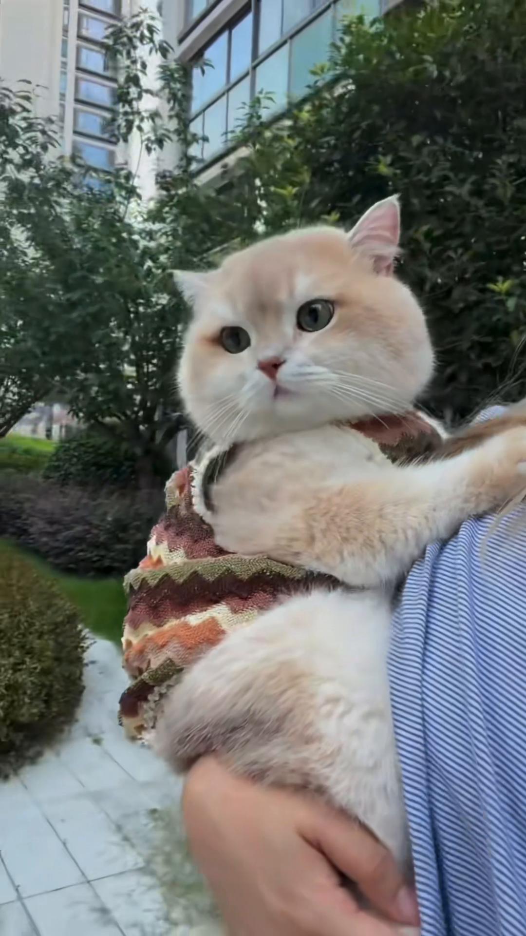 @My Daily Dose of Aww