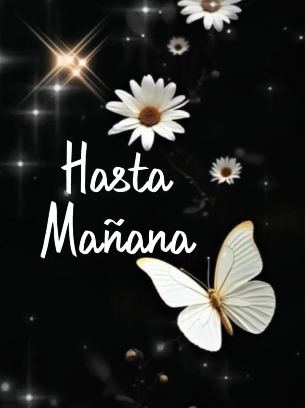 @Arely Mendoza Frases bonitas