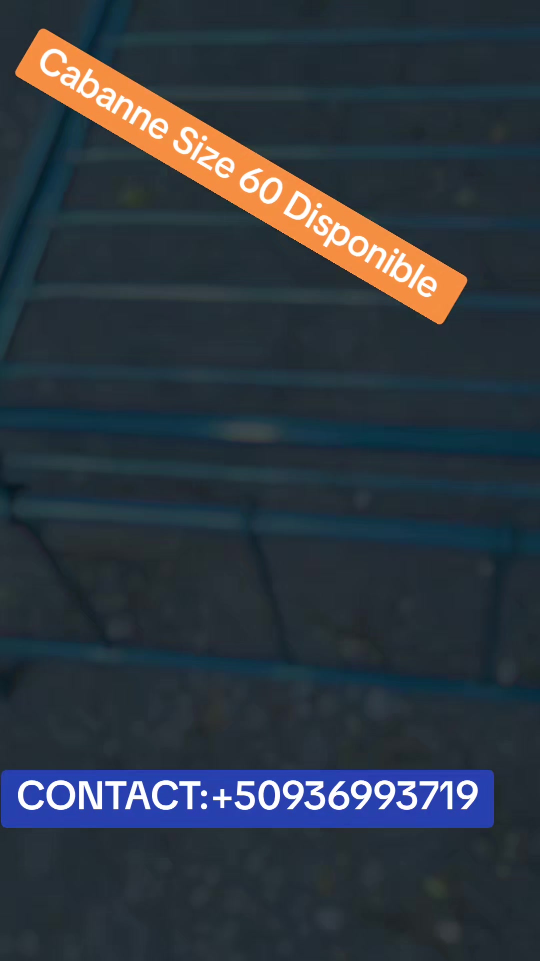 @immaculée meuble