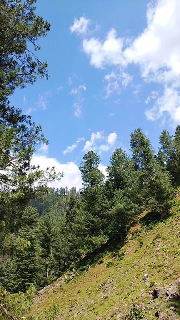 @@SAMEER:KASHMiri, ❣️🅰️🤲