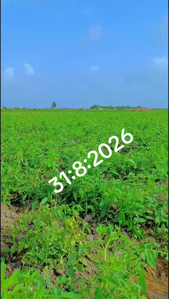 @Mehboob 786