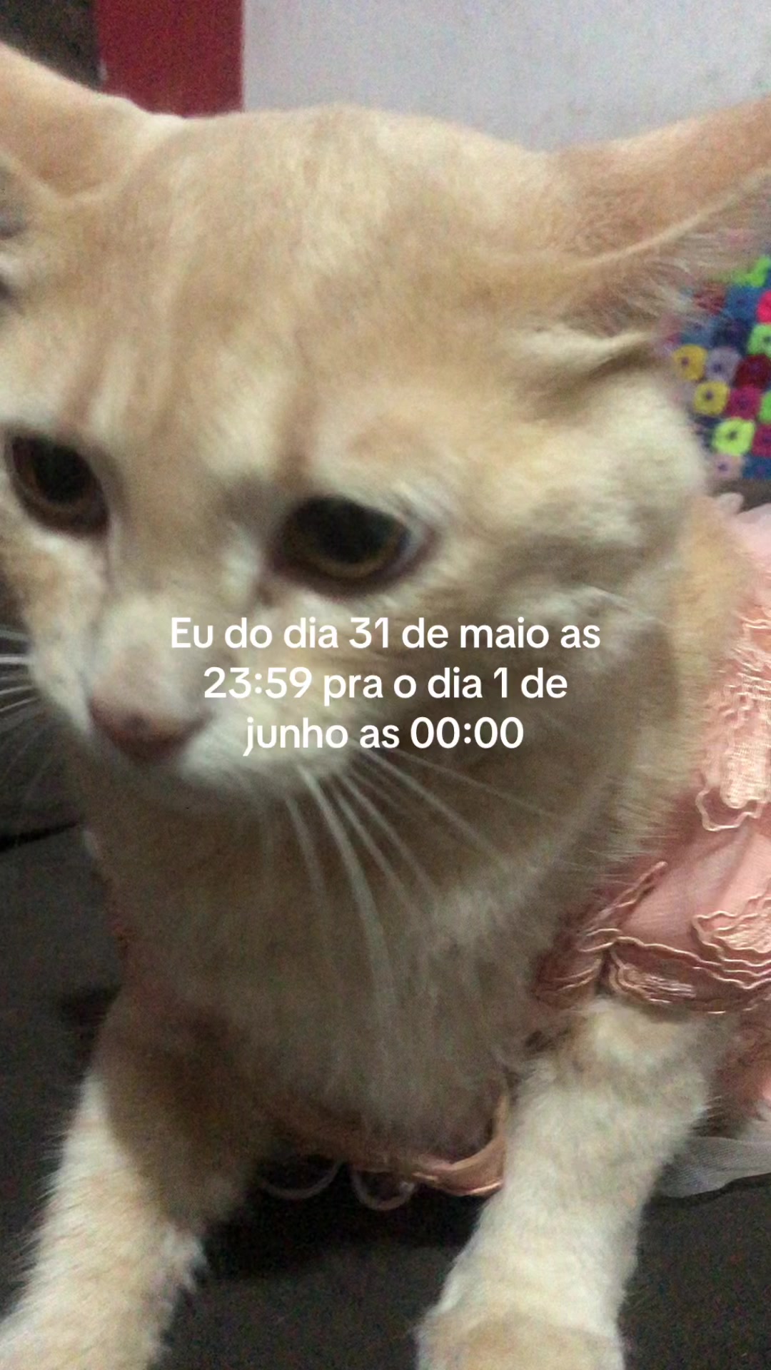 @Pᥱ́r᥆ᥣᥲ ᥱ ᥴᥲ&rho;&iota;tᥲ̃᥆