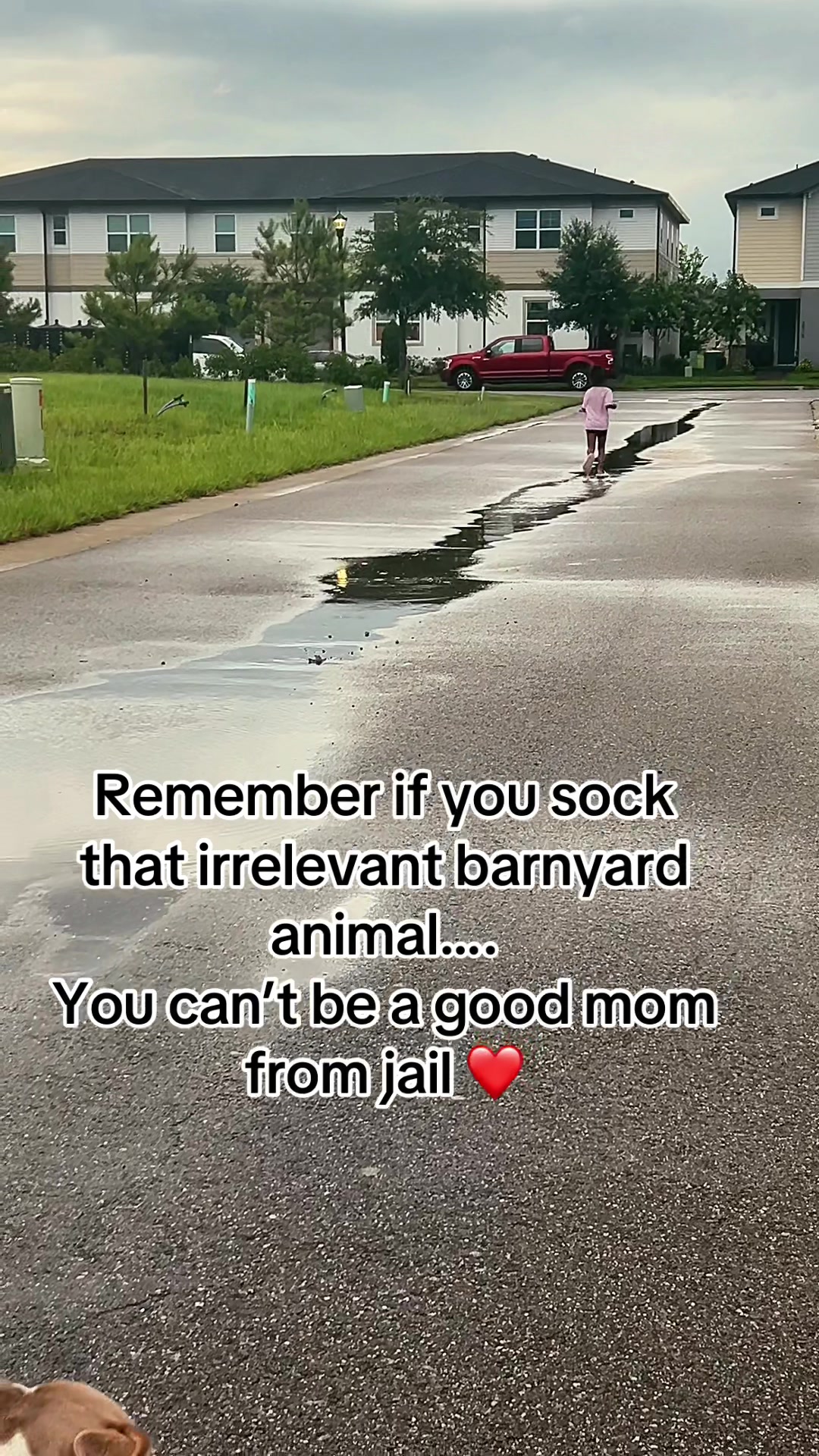 @🦋VaNecia Carlos|SAHM📚🍃🧚&zwj;♀️