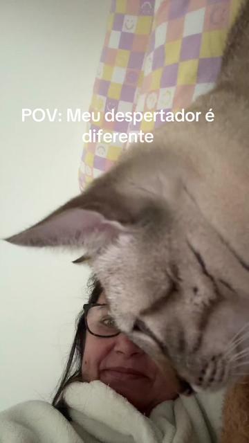 @Sandra23