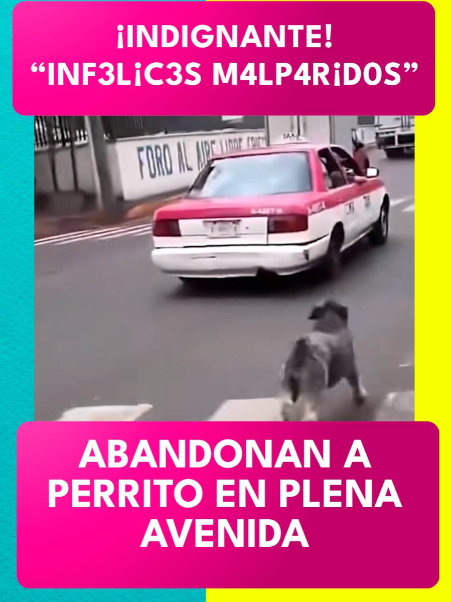 @Revista TVNotas