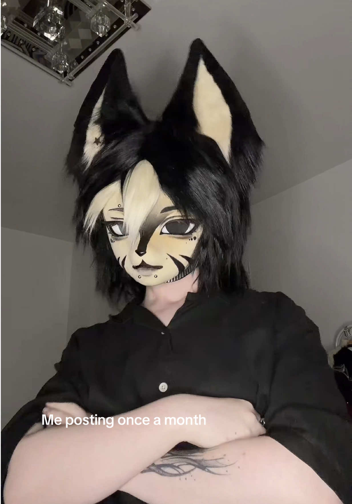 @felix 💤