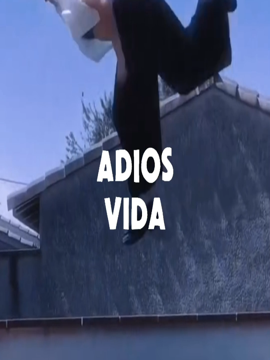 @𝗠𝗨𝗦𝗜𝗖 𝗩𝗜𝗕𝗘𝗦