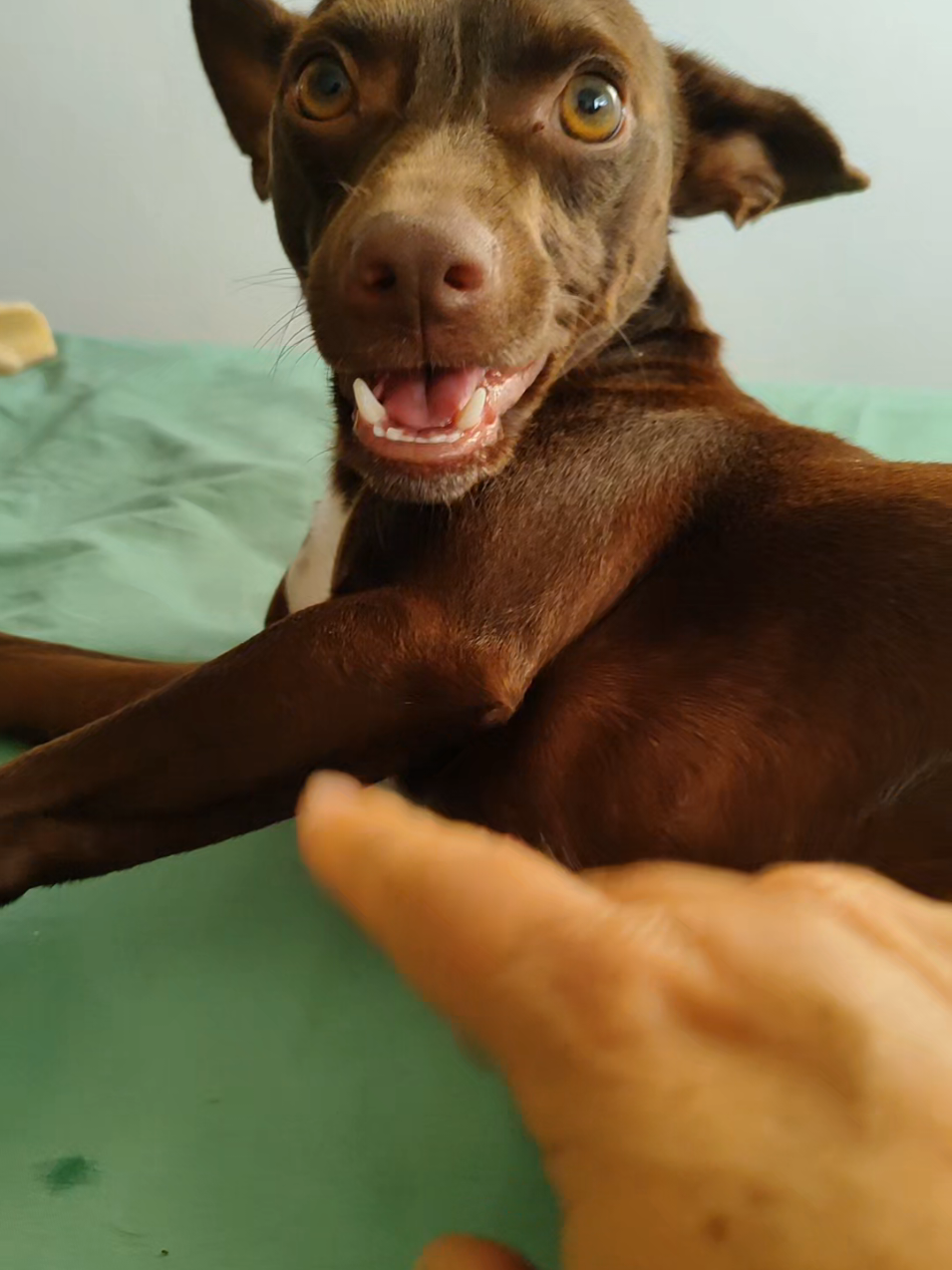 @Belinha e tiamara