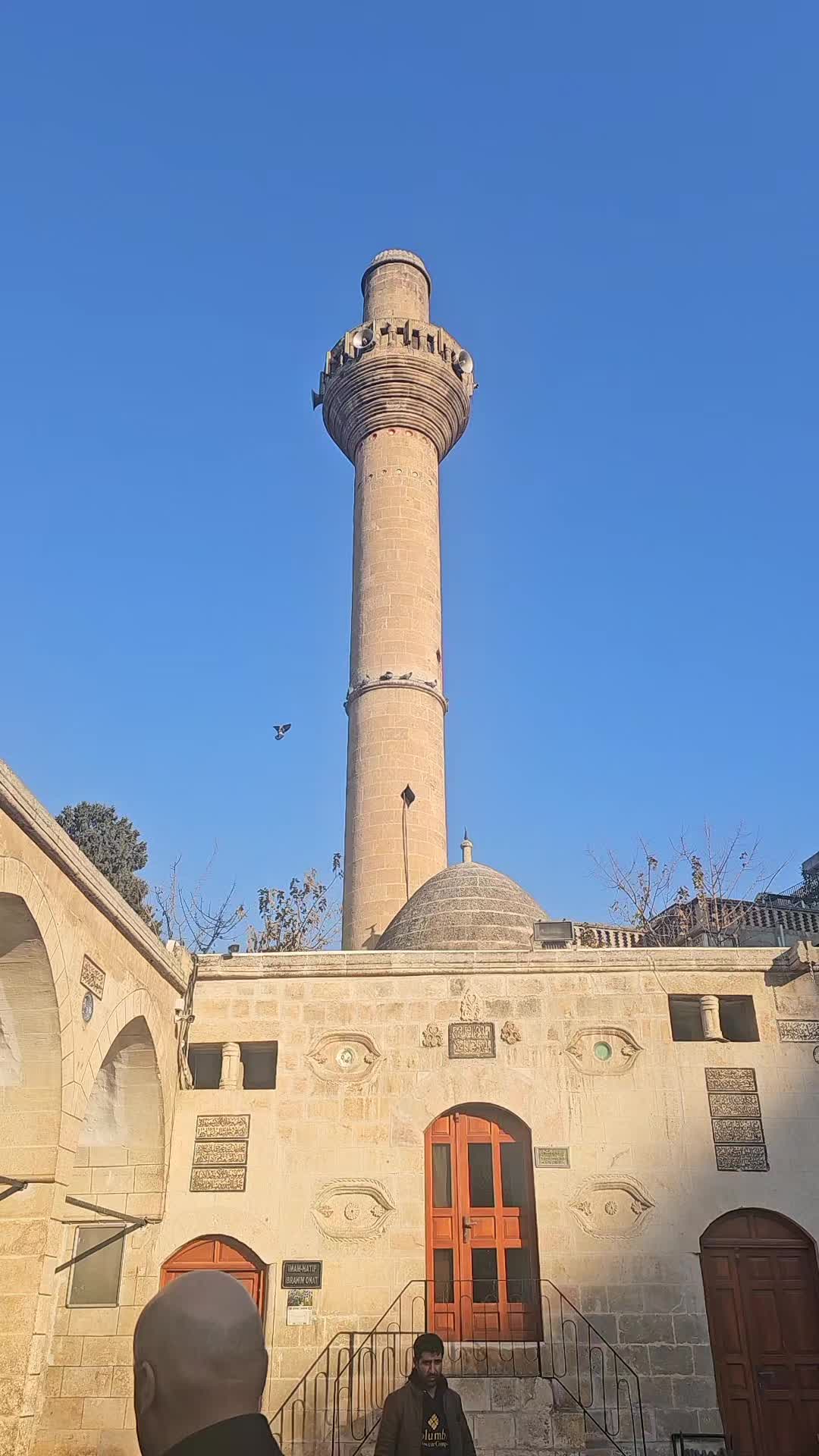 @hamit sırabaşı