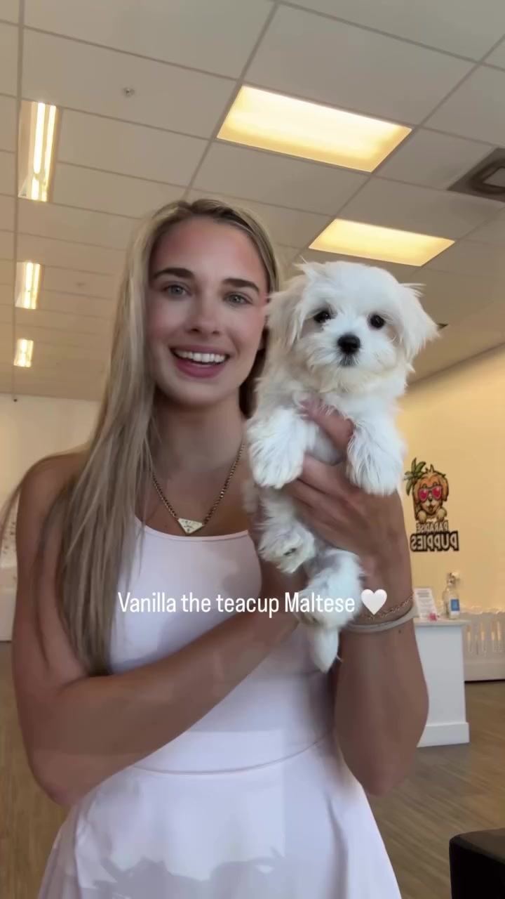 @Paradise Puppies🐶