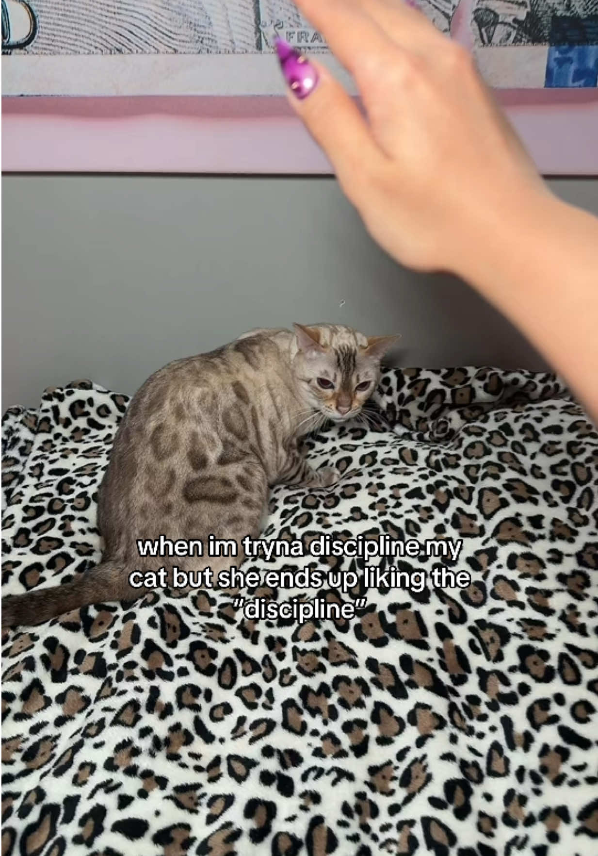 @Mirajane The Bengal🐾