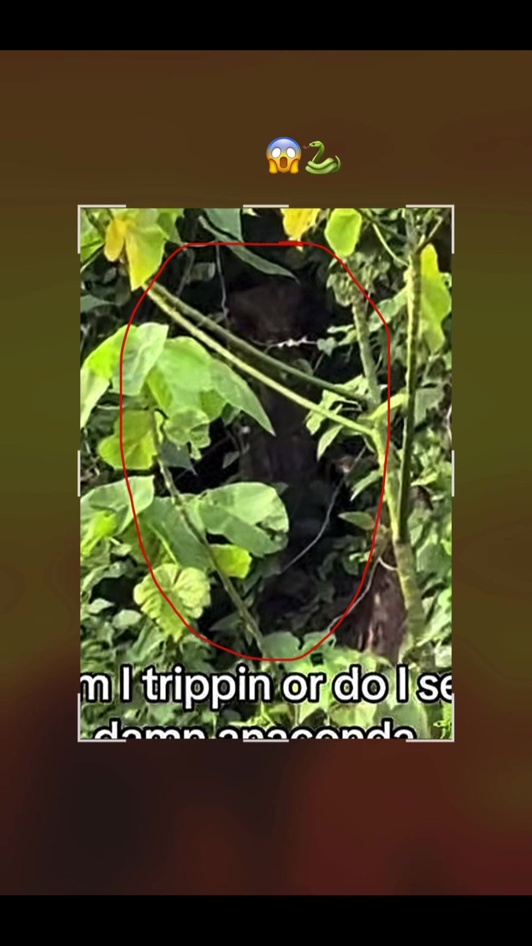 @Disapower
