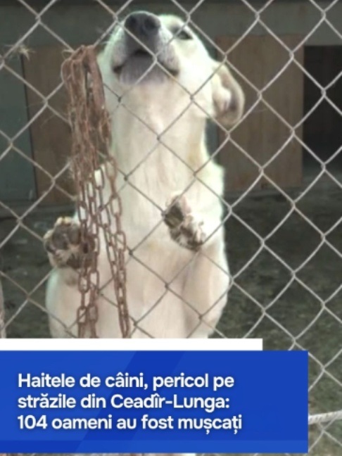 @Moldova1
