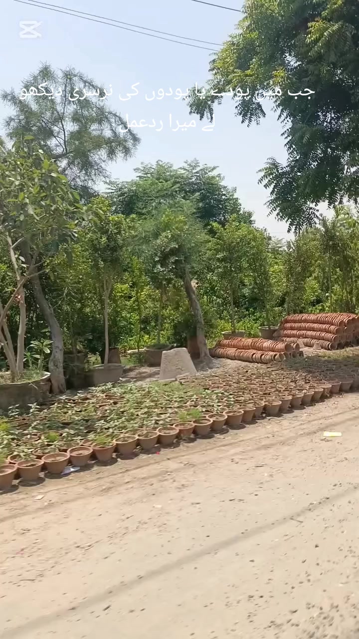 @Mr.Tori.Farming (pathologist)