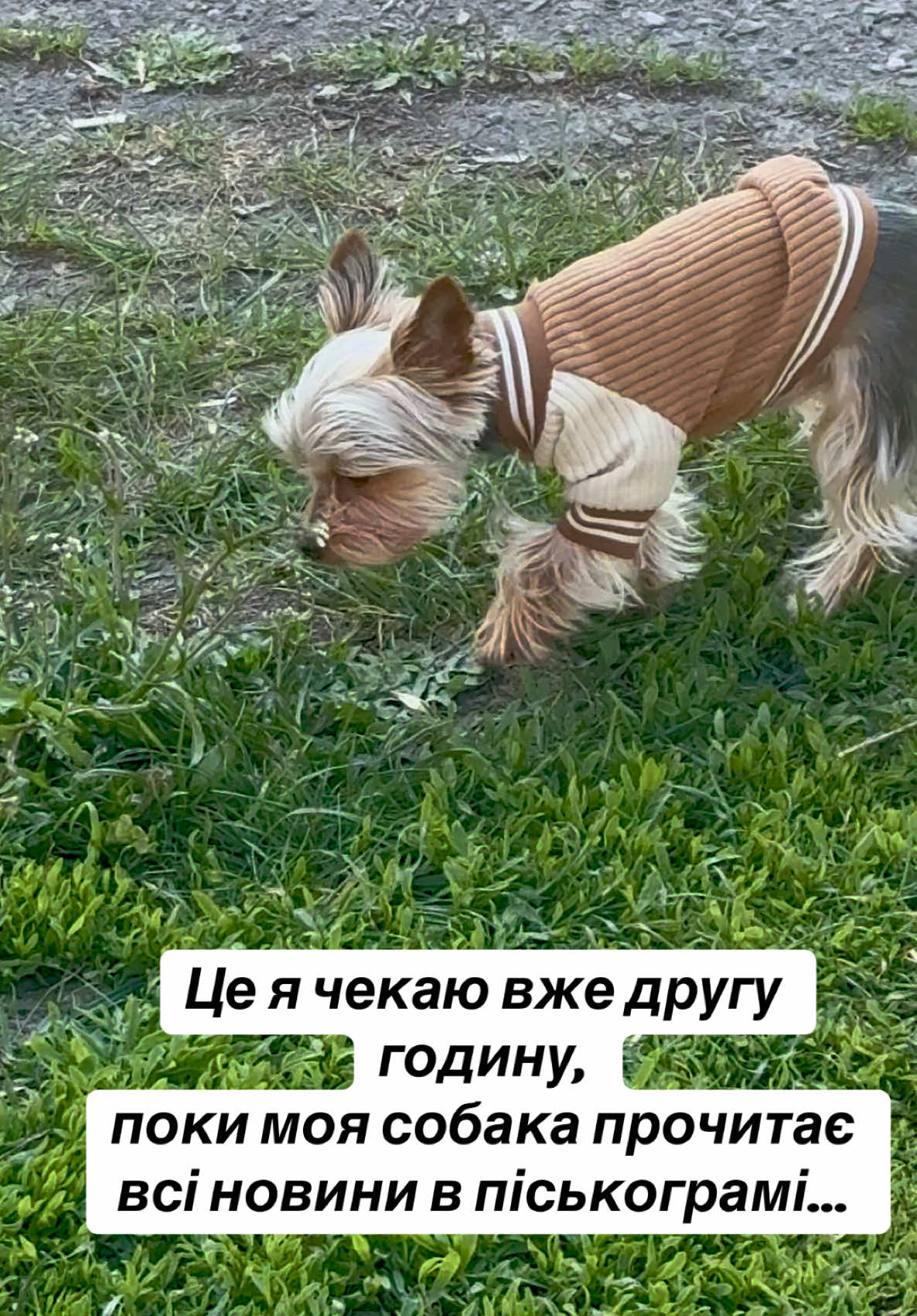 @_martina__505