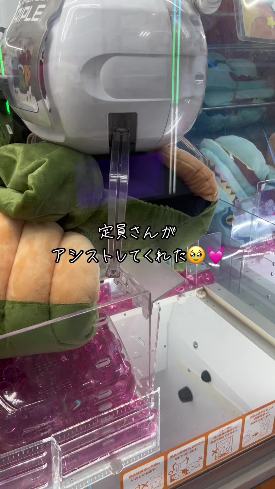 @格闘技好きなkids👧🏻👦🏻