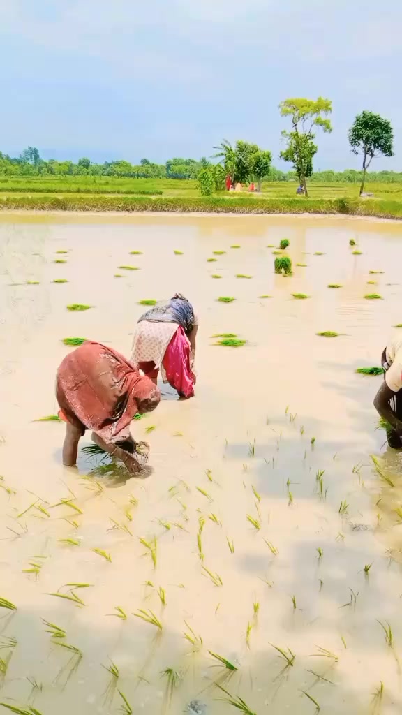 @Nagendra yadav