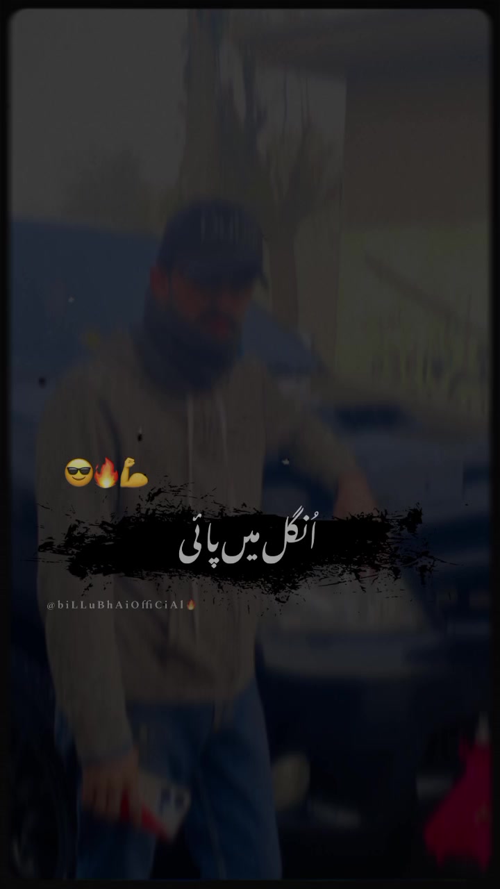 @Punjabi Mughal