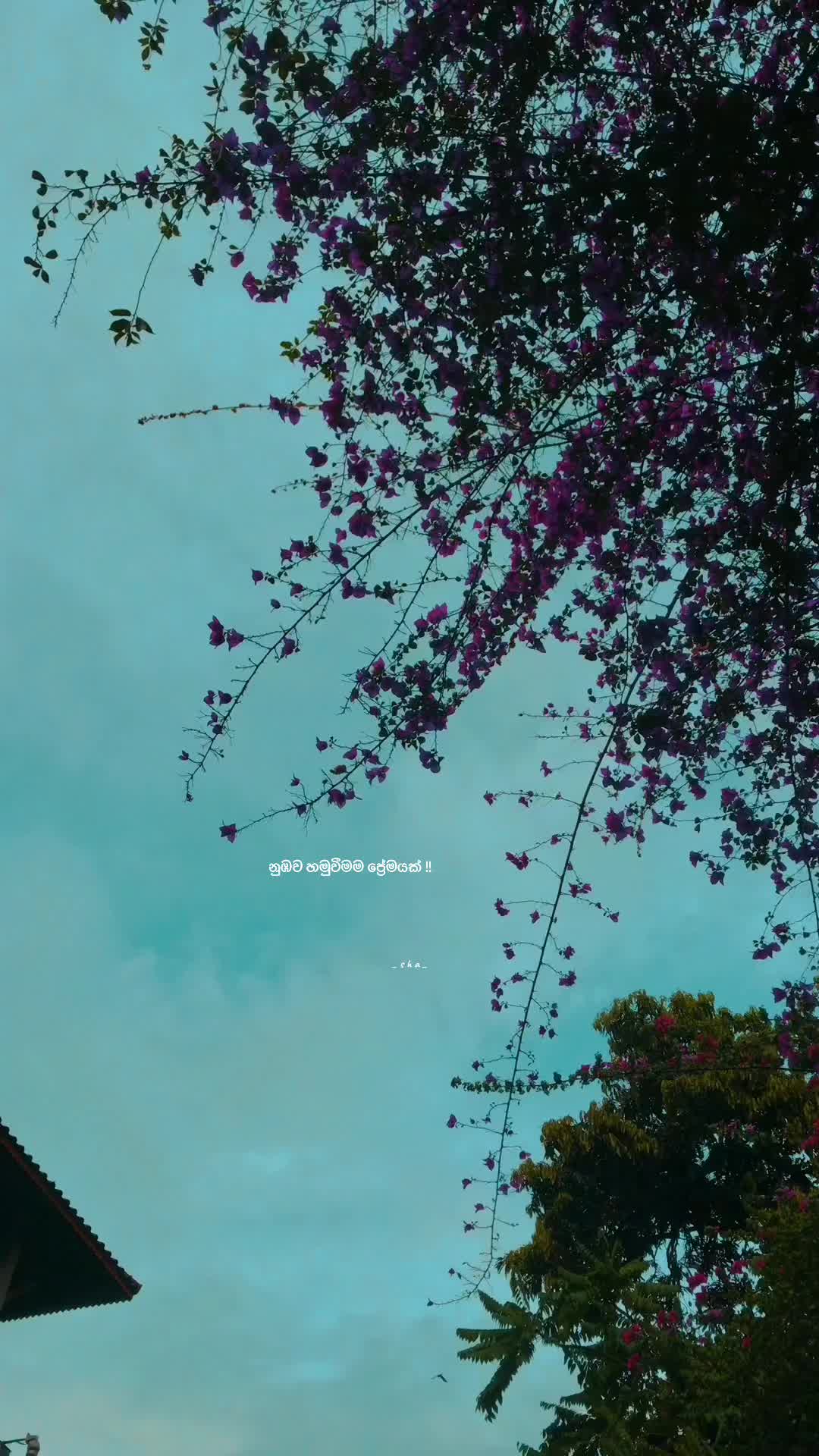@𝗦>
