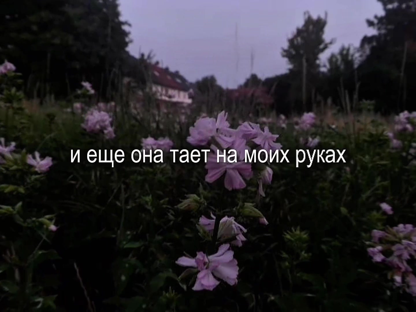 @w1wxdg'