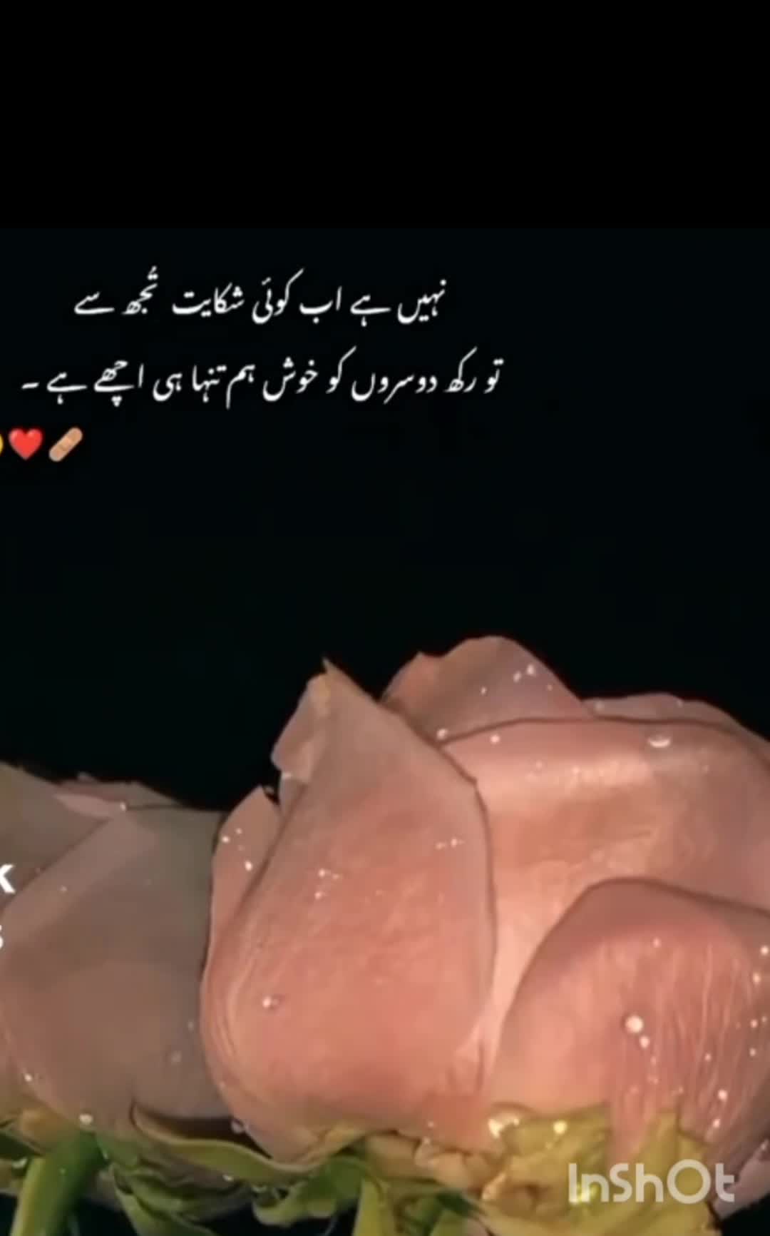 @Roh e Sanam
