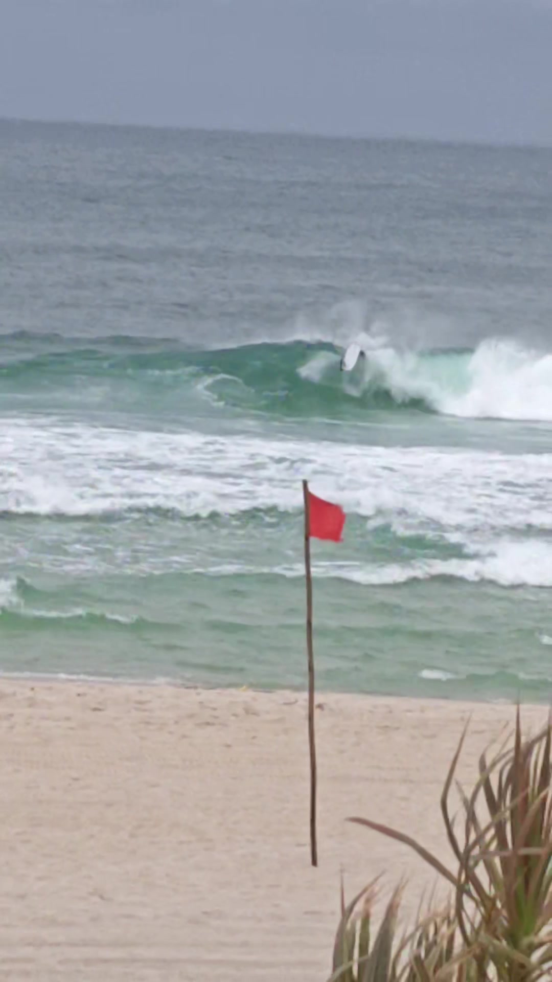 @Diário de um surfista 🌊